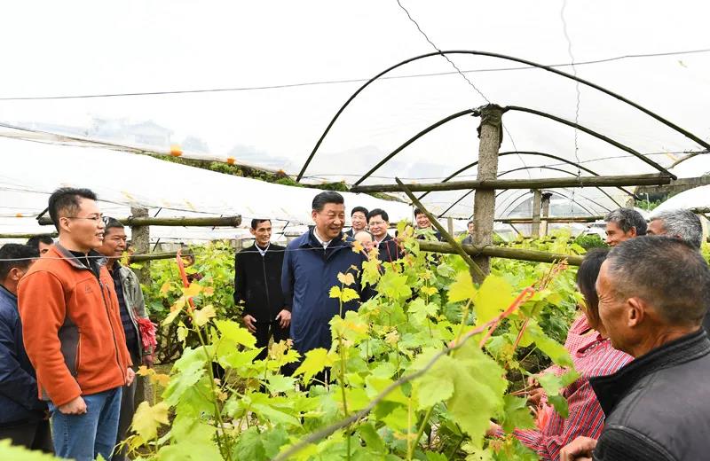 习近平在广西考察