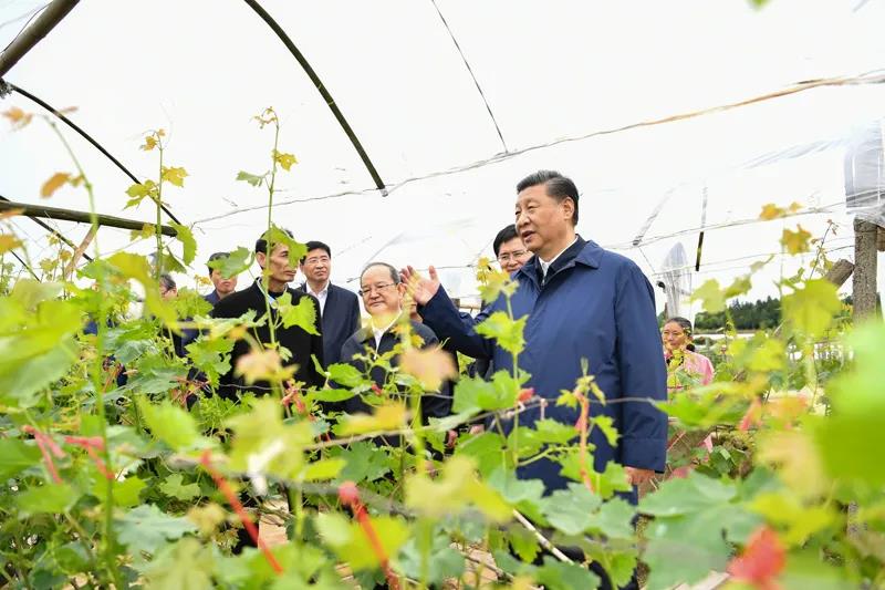 习近平在广西考察