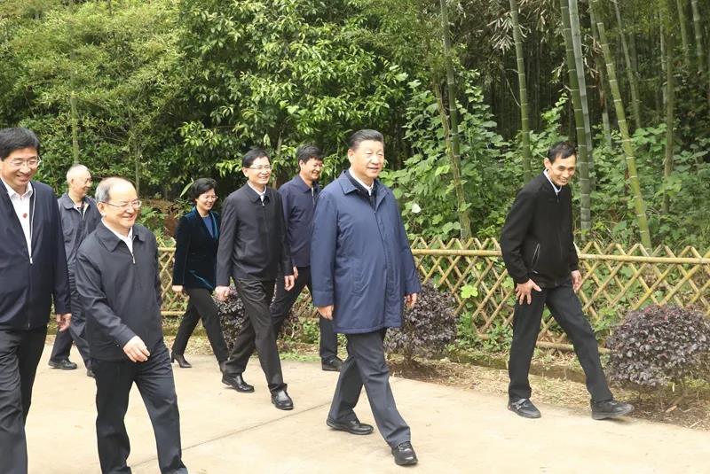 习近平在广西考察