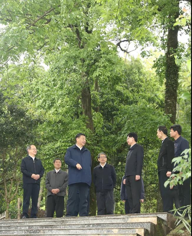 习近平在广西考察