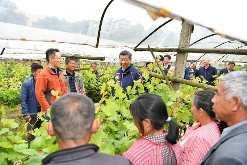 习近平在广西考察